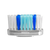 Tete Brosse a dents Orthodontie Antibactérienne