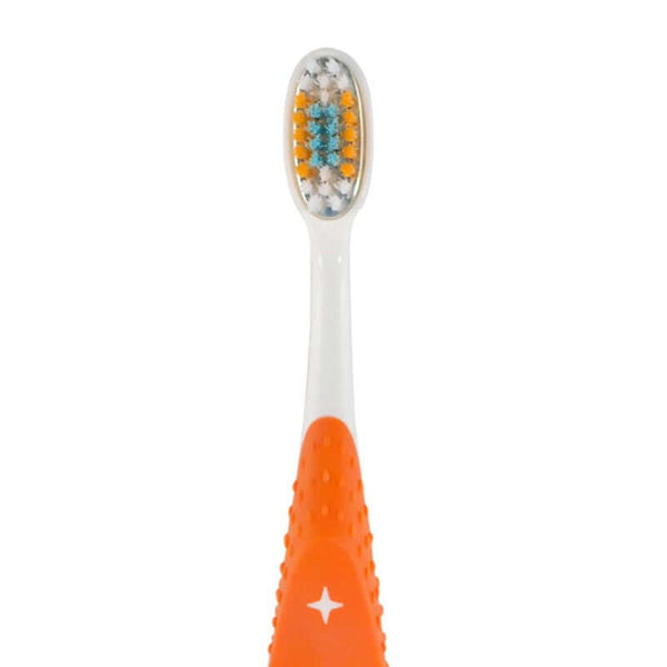brosse-a-dents-enfants-7-a-12 ans-orange-Ampheris